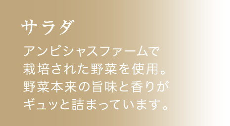 アンビシャスファームで栽培されたサラダ